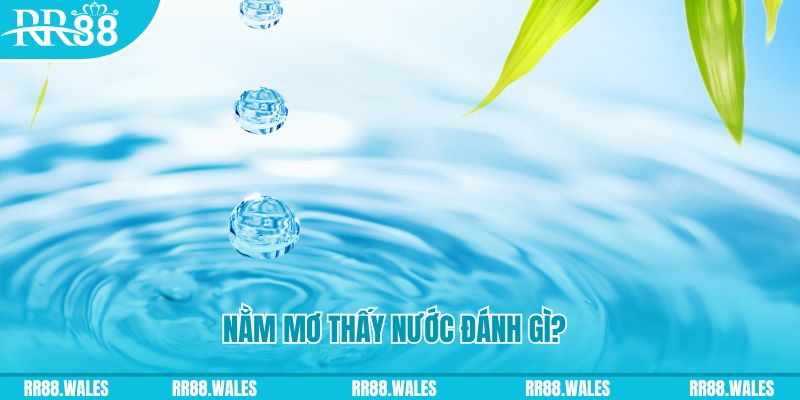 vuabai9 sòng bạc là gì