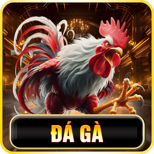 s66 plus-da-ga